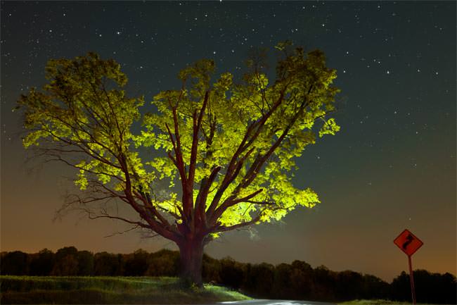 light painting Phlearn