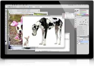 Image-sizing-–-Episode-#90