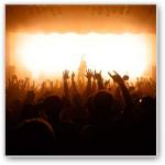 Adam-Elmakias-Thumb