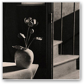 Andre-Kertesz-Thumb