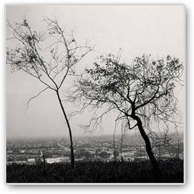 Robert-Adams-Thumb