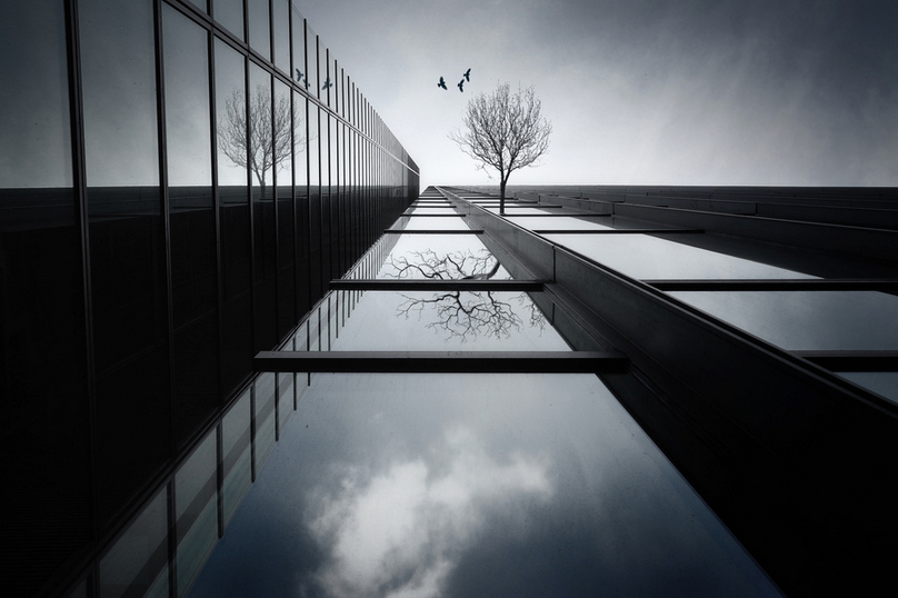 The Ethereal Flying Garden by Dr. Akira TAKAUE