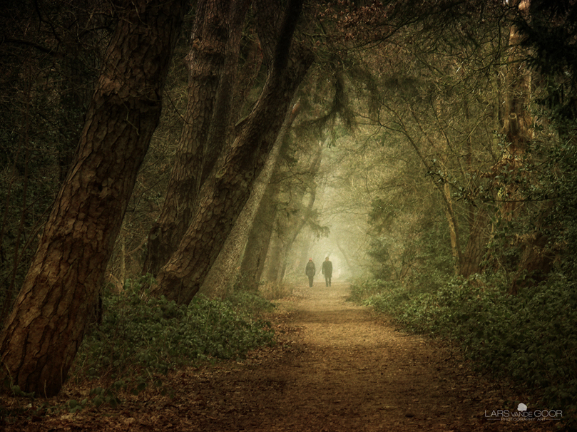 Sparsam II by Lars van de Goor