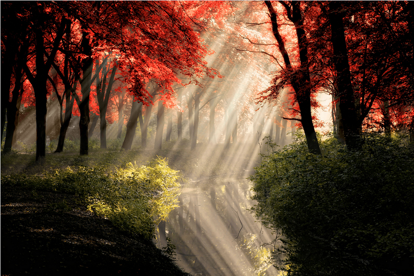 That Same Other World rld by Lars van de Goor