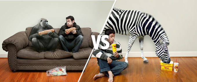 GorillaVsZebra