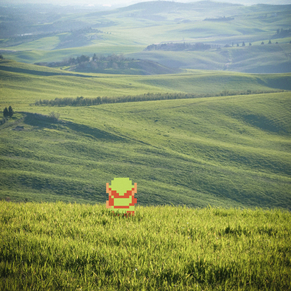 Hyrule Field by fatheed
