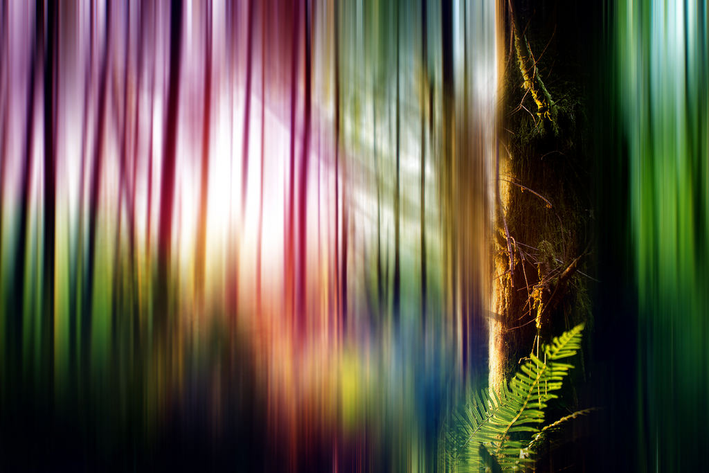 Reach by - Dave Morrow -