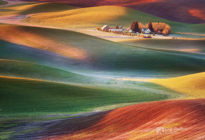 Frosty Morning Palouse by Chip Phillips