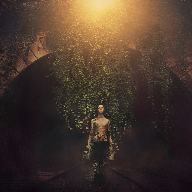 Ivy by Marwane Pallas