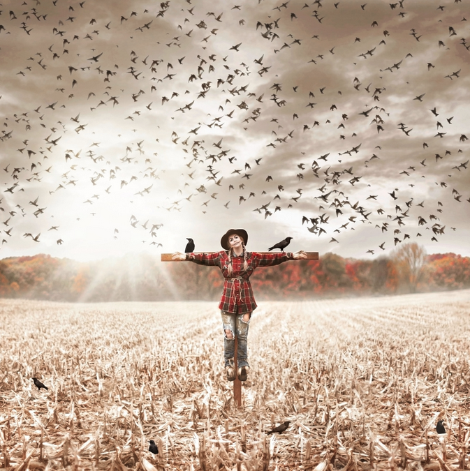 the watchman. by Nicole Belke