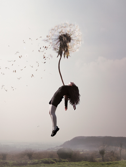 Sleep Elevations by Maia Flore