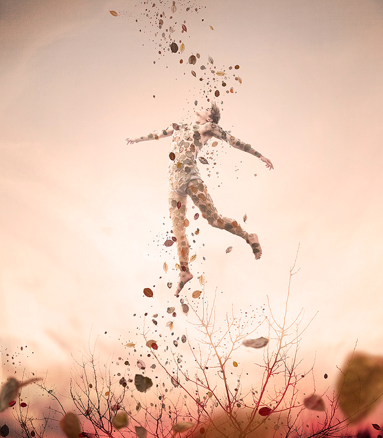 When Autumn was Spirited Away by Rob Woodcox