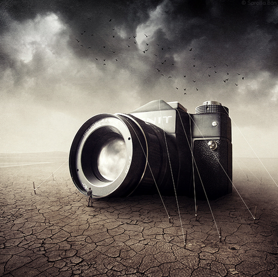 by sarolta ban