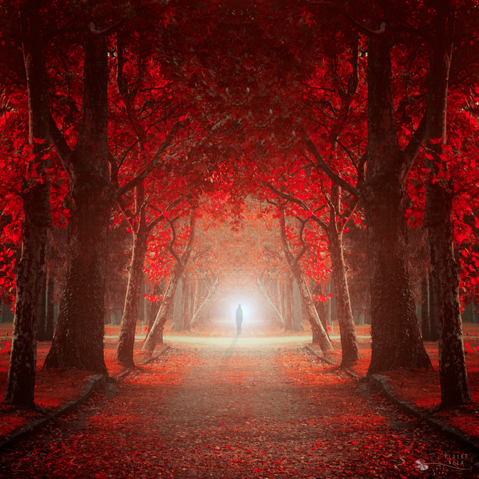 Let me in by Ildiko Neer