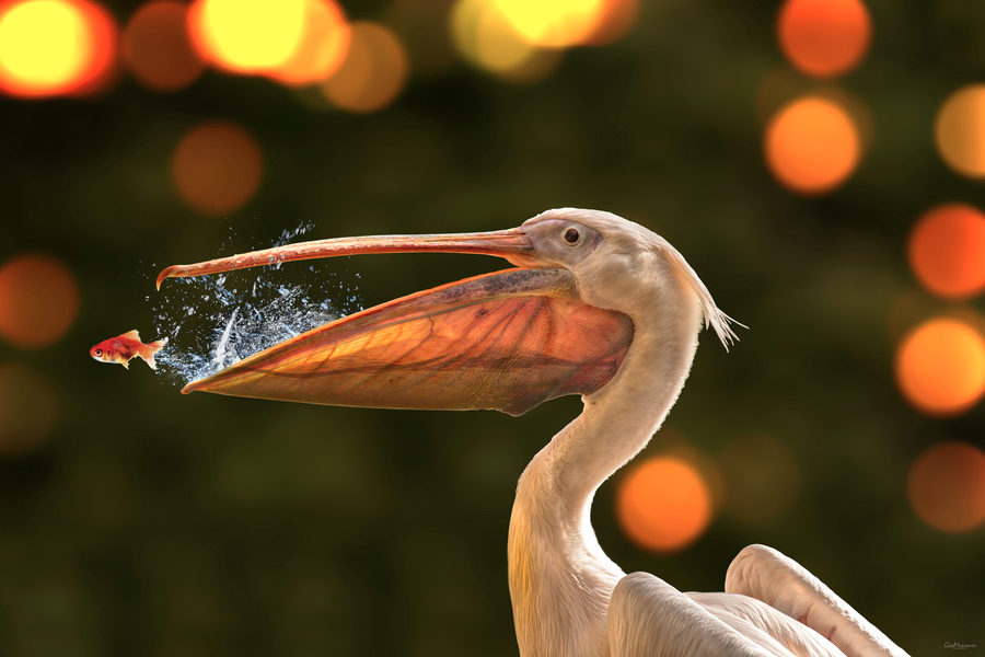 Second Chance by Geo Messmer
