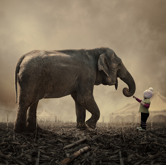 Stop it, you tickled me by Caras Ionut
