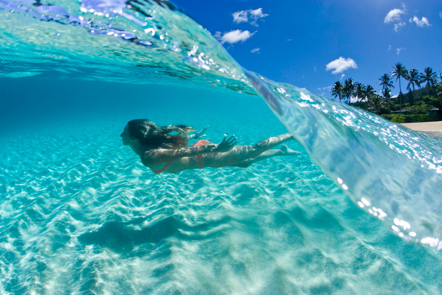 Aqua Dive by Sean Davey