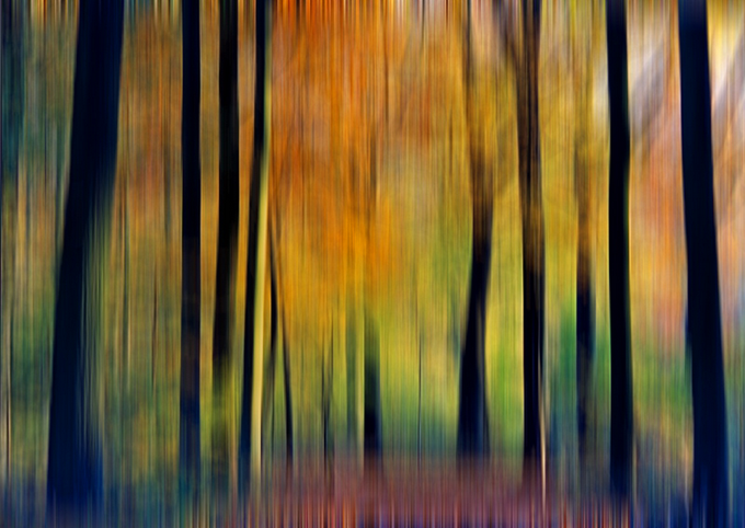 THE ENCHANTED WOOD, MAGIC... by Magda indigo