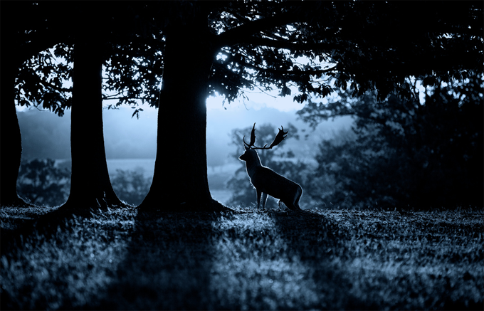 moonrise by Mark Bridger