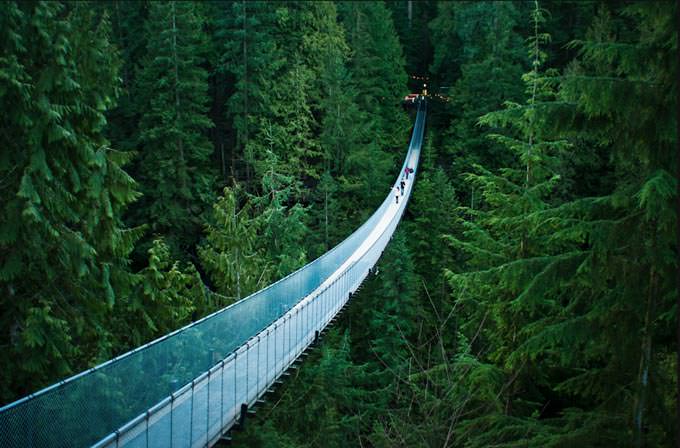 Capilano Suspension Bridge by Michelle Lee