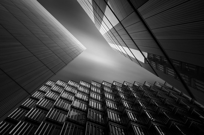 G R I L L E by Paul Wheeler