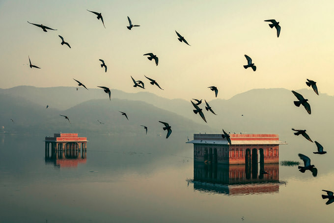 Mystic Morning - Jal Mahal by Mahesh B