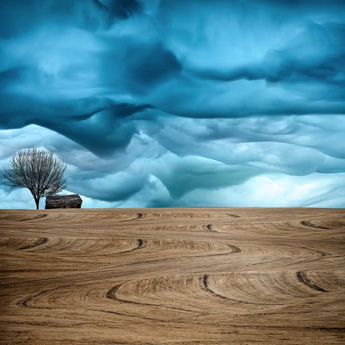 Untitled by Lisa Wood