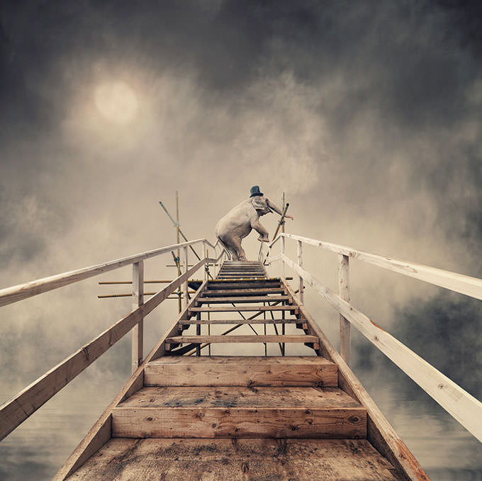 Happily Ever After by Caras Ionut