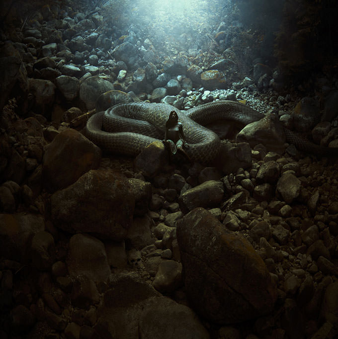The Serpent's Lair by Karezoid Michal Karcz
