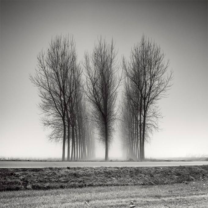 Three Neat Rows by Pierre Pellegrini