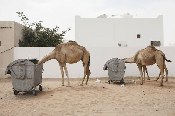 Untitled by Hans Palmboom