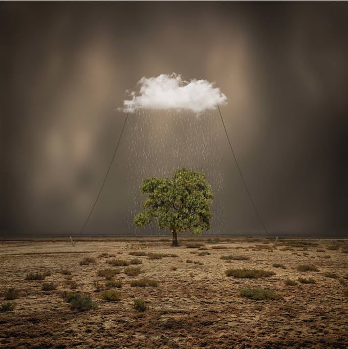 by Hossein Zare