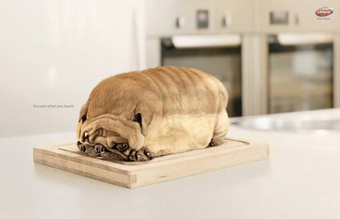 LifeBuoy Hand Wash - You Eat What You Touch by Nemesis Pictures
