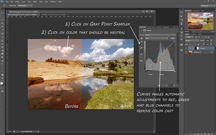 A warm colour cast landscape shown before and after, with callouts showing the Gray Point Sampler being clicked on an area that should be neutral so Curves corrects the red, green and blue channels