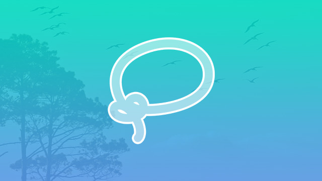 the lasso tool in photoshop