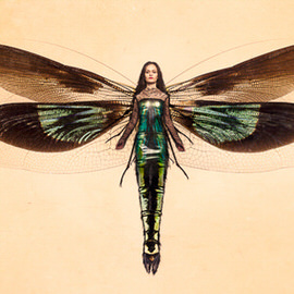 Fantasy composite of a woman with large dragonfly-like wings and an armored dress, illustrating a graphic composite in Photoshop