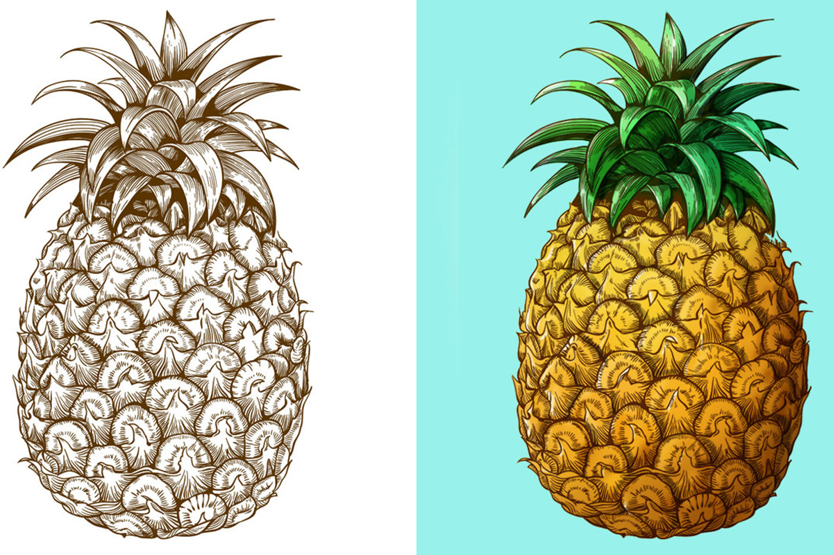 How to Color an Illustration in Photoshop - PHLEARN