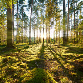 how to create sun rays in photoshop