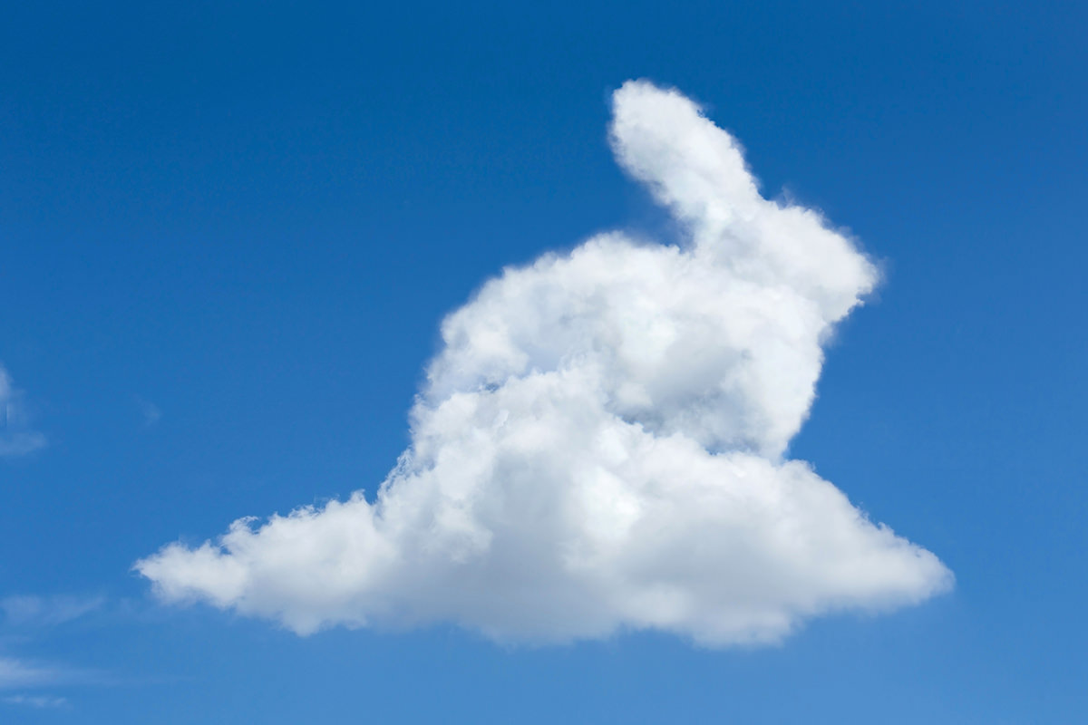 Все мое внимание было обращено на облака. Облака в виде животных. На что похожи облака. Облака похожие на животных. На что похоже облако.