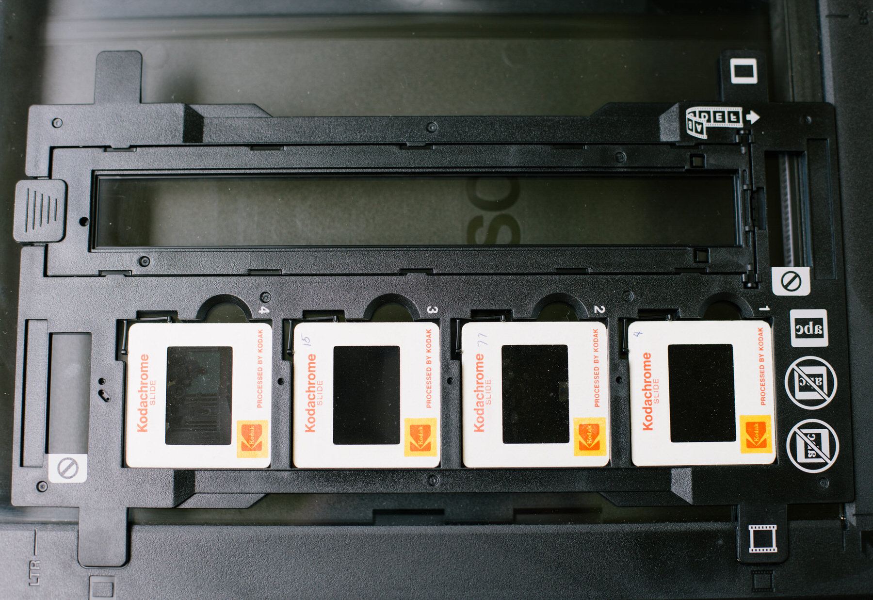 Four Kodachrome slides loaded in the film holder of a flatbed scanner