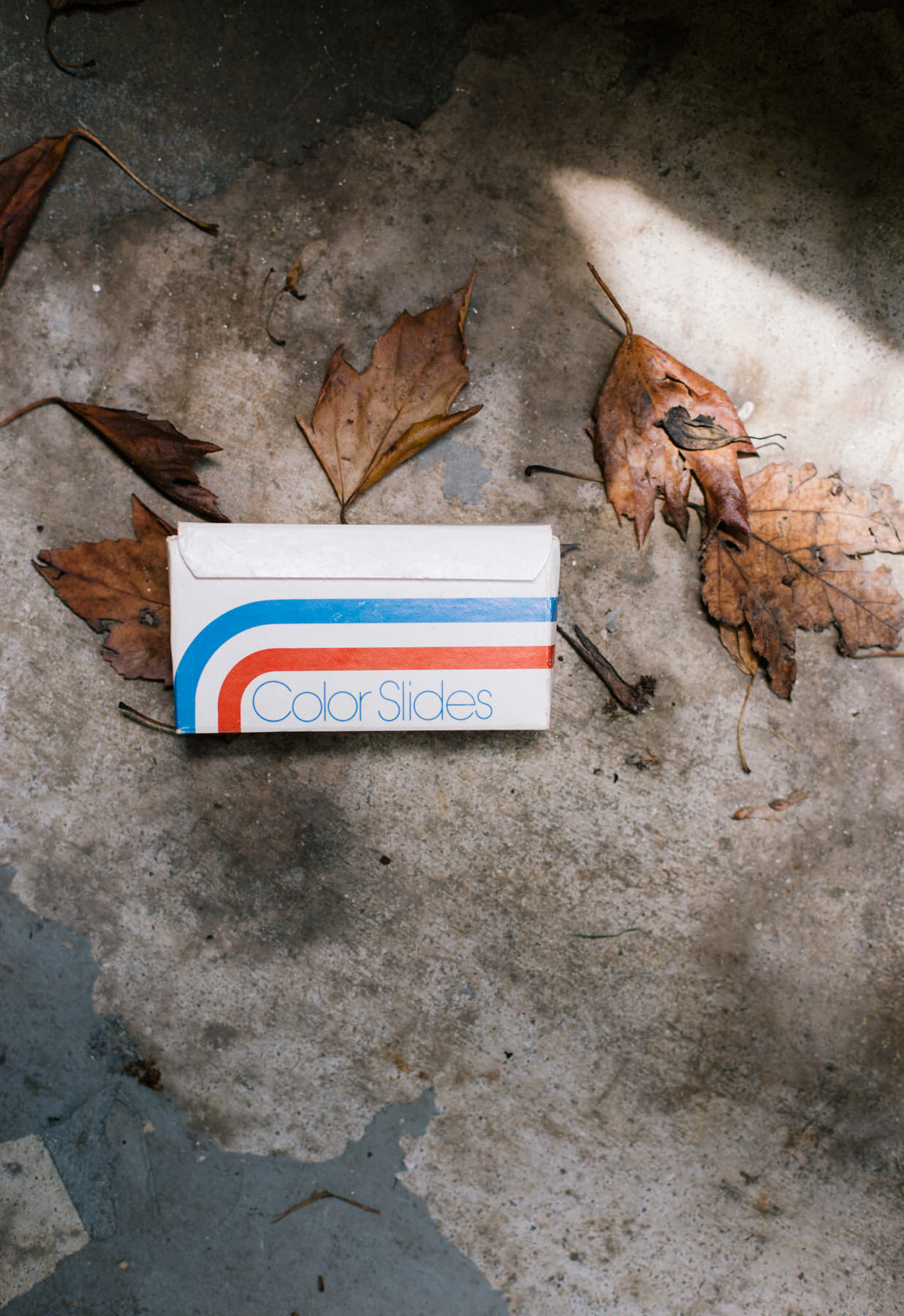 Small box labeled Color Slides on a concrete floor among dry brown leaves, in slanting sunlight