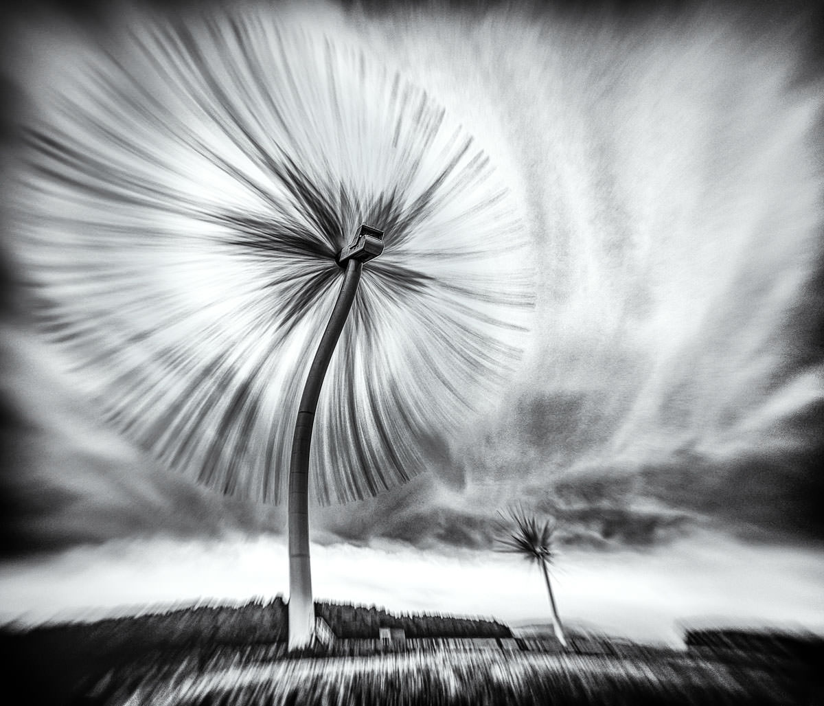 Surreal Image of a Turbo Dandelion Wind Farm