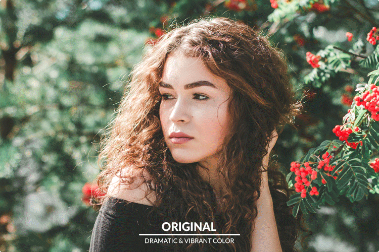 PHLEARN Lightroom Presets Dramatic Vivid Color 2