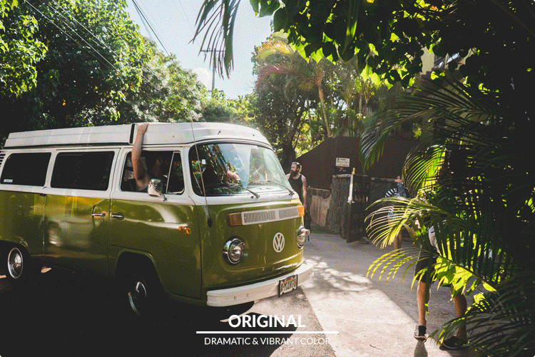 PHLEARN Lightroom Presets Dramatic Vivid Color 3