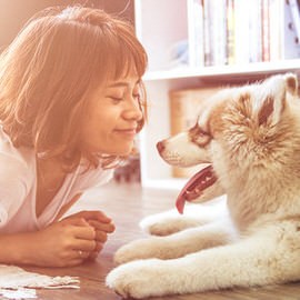 Woman and her dog nose to nose on the floor with a warm golden color grade applied, example for adding a warm glow to photos