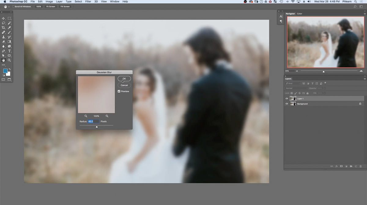 The Gaussian Blur dialog at a Radius of about 65 pixels, blurring the couple along with the background