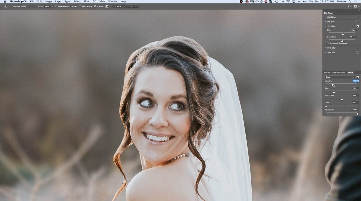 Zoomed in on the bride while setting the Grain Amount in the Noise panel, adding texture to the blurred background