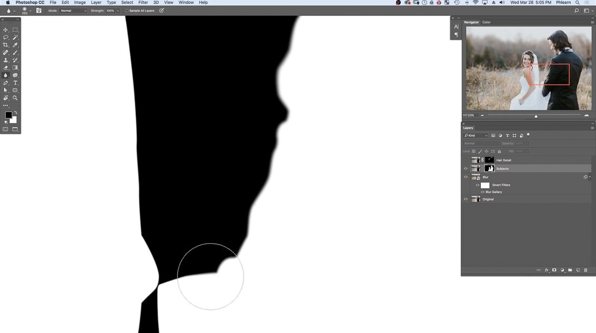 The Subjects layer mask shown on its own in black and white, with the Blur tool softening its hard edge between the couple