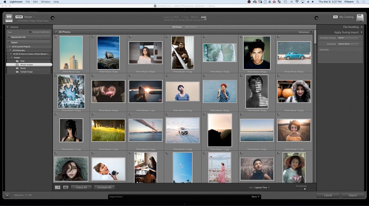 Lightroom's Library grid view showing a folder of imported source photos for the mosaic, including diverse portraits and scenery