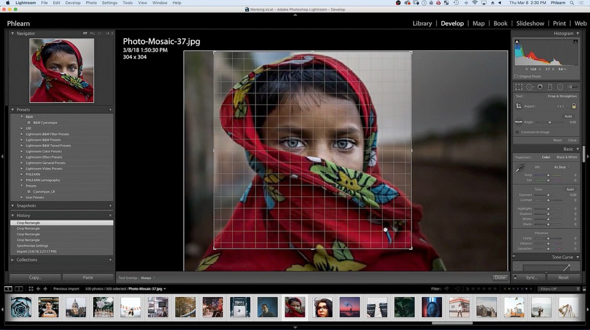 Lightroom's File menu with the Export command open above the grid of selected, cropped photos